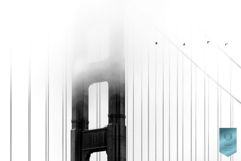 The bridge and the pelicans - MonoVisions Photography Awards 2024 - Agence Brunet-Monié - Reportage photo à l'étranger