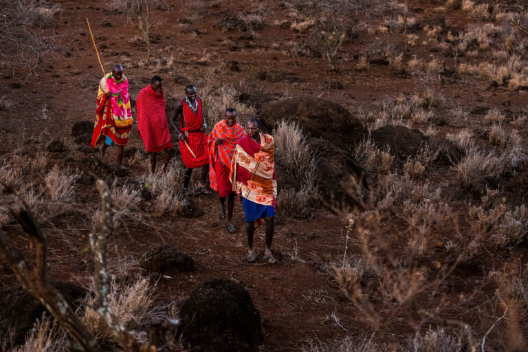Tribu Maasai - Marche matinale