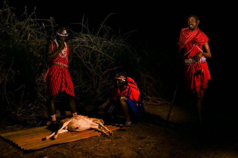 Tribu Maasai - Fin honorable