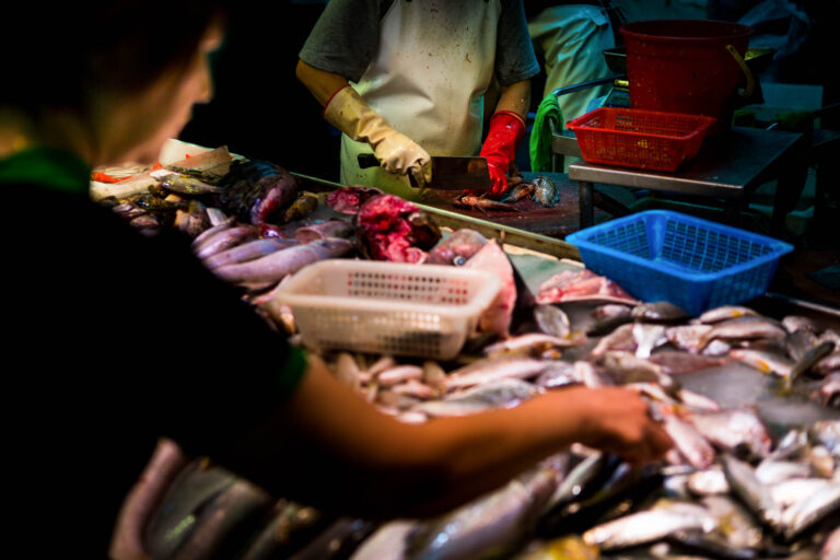 Un marché à Hong-Kong - Découpe et choix du poisson