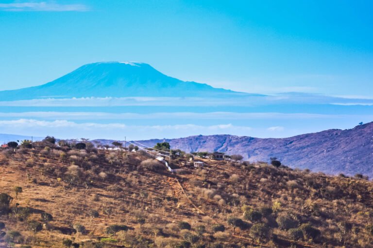 Grenat Tsavorite - Scorpion Mine - Couleurs de Kilimandjaro