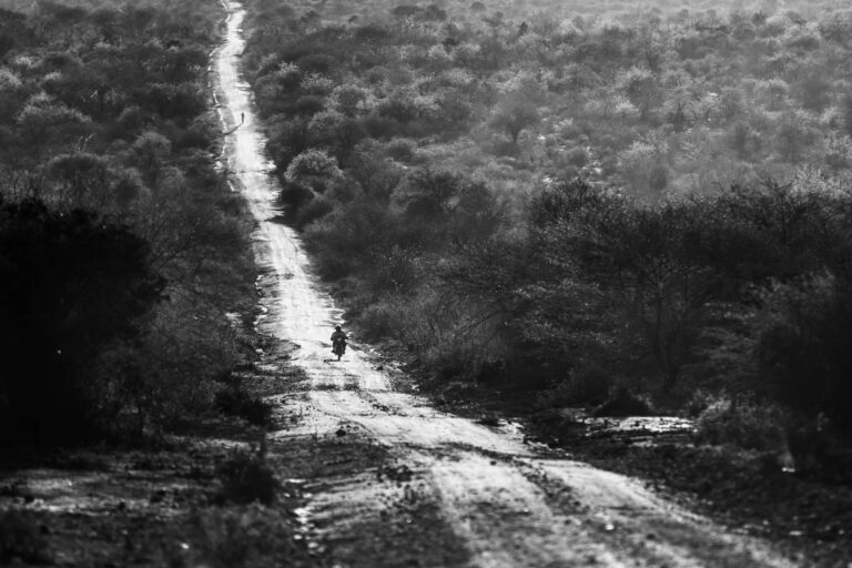 Grenat Tsavorite - Scorpion Mine - Route de brousse