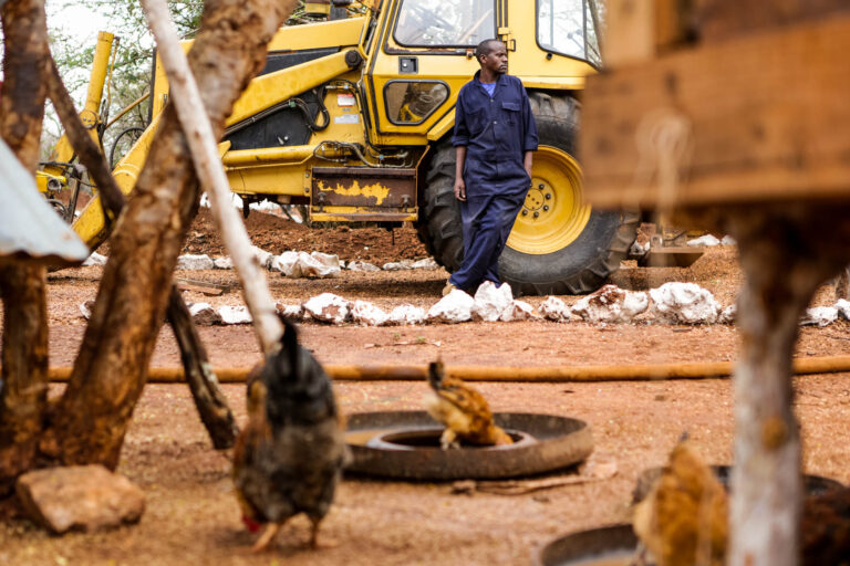 Grenat Tsavorite - Scorpion Mine - Machine au poulailler