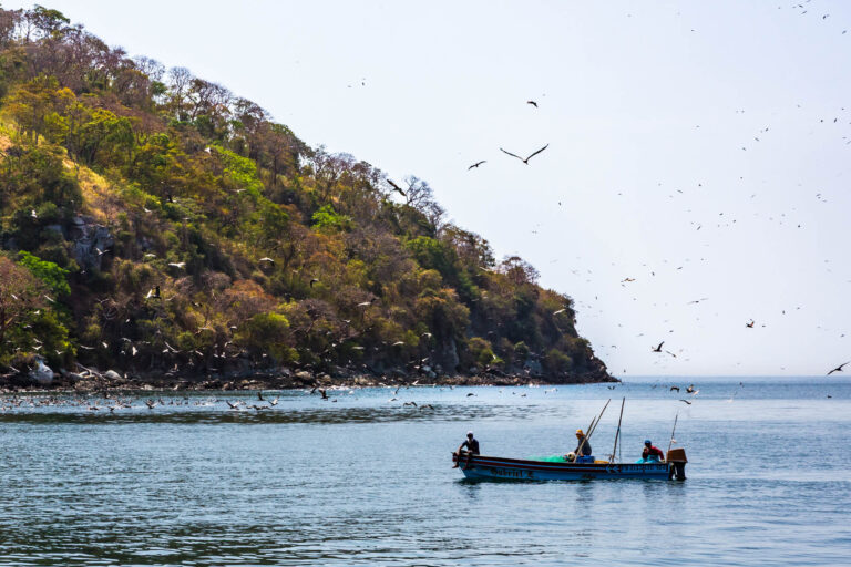 Voyage Entreprise au Panama - Cote Pacifique