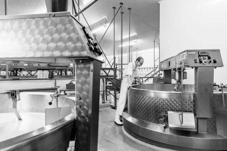 Abbaye de Cîteaux - Cuve de caillage - Vaisseau lactique - Bqssine de fermentation - Photographe reportage