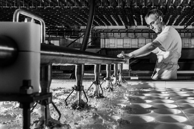 Table d'égouttage industrielle - Drainage du caillé - Presse à fromage - Photographie en immersion - Agence Brunet-Monié