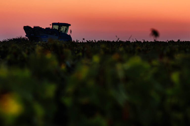 Vendanges en Muscadet - Machine à vendanger - Lever de soleil - Vignes de Muscadet - Reportage photo de nuit