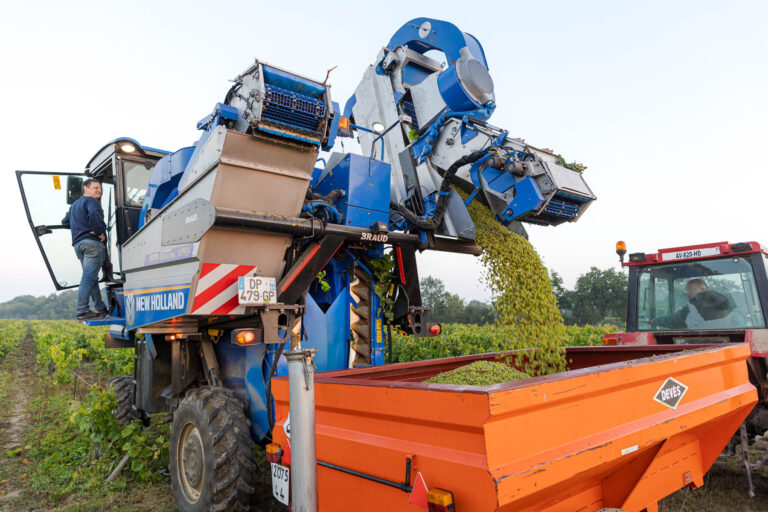 Gastronomie et terroir - Versement des raisins - Agence Photo Nantes - Muscadet
