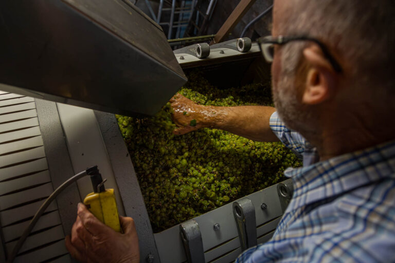 Remplissage du pressoir - Viticulteur nantais - Photographe terroir