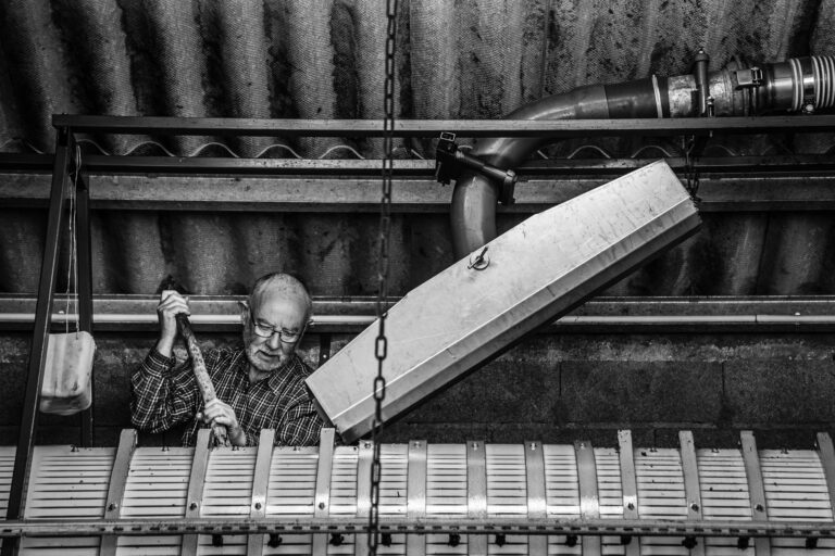 Vendanges en Muscadet - Photographe reportage en immersion - Pressoir viticole - Muscadet