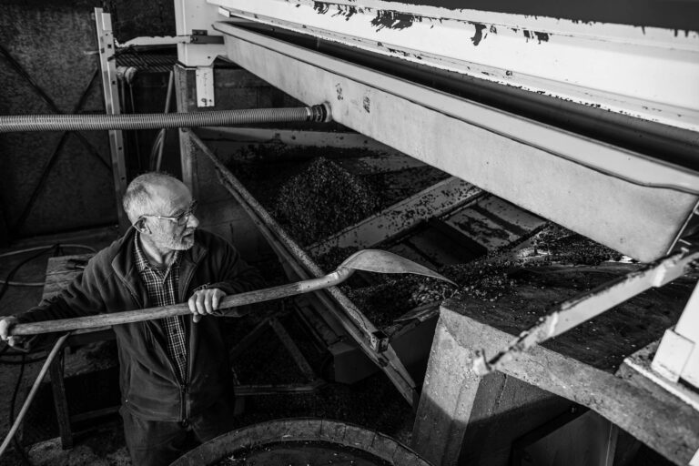 Récupération du marc de raisin - Reportage photo - Photographe métier - Vendanges en Muscadet