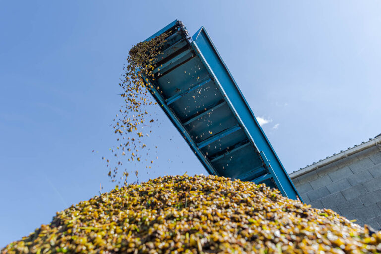 Recyclage du marc - Peau de raisin - Muscadet Sèvre-et-Maine sur Lie - Maisdon-sur-Sèvre