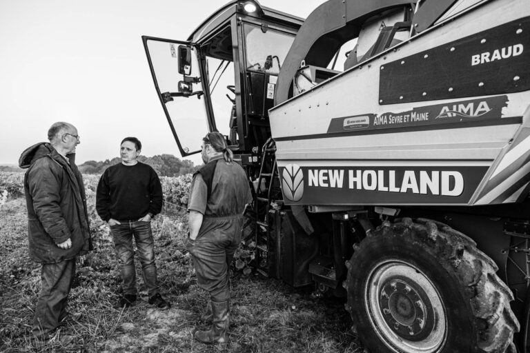 Machine à vendanger - Viticulteur en Loire-Atlantique - Agence Brunet-Monié