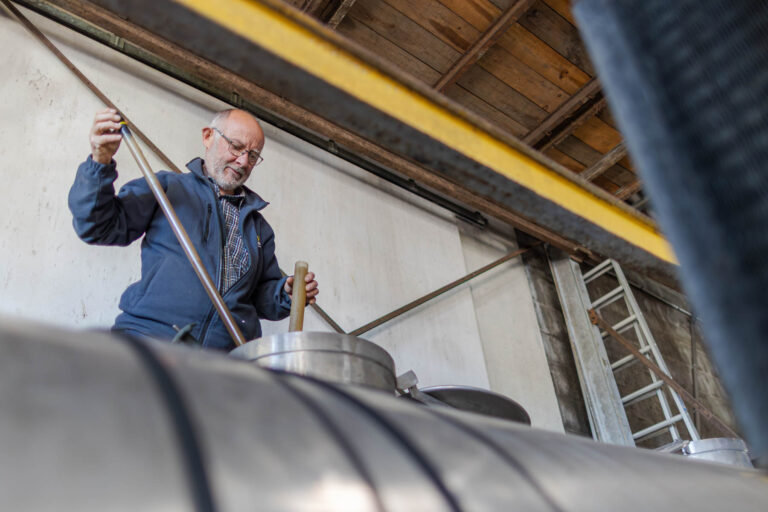 Prélèvement de vin nouveau - Cuve de fermentation - Chais viticole - Degré d’alcool - Contrôle de pH