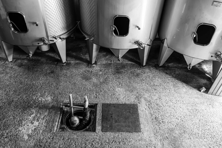 Vendanges en Muscadet - Descente dans la cuve - Vérification sanitaire - Muscadet Sèvre-et-Maine sur Lie - Agence Brunet-Monié