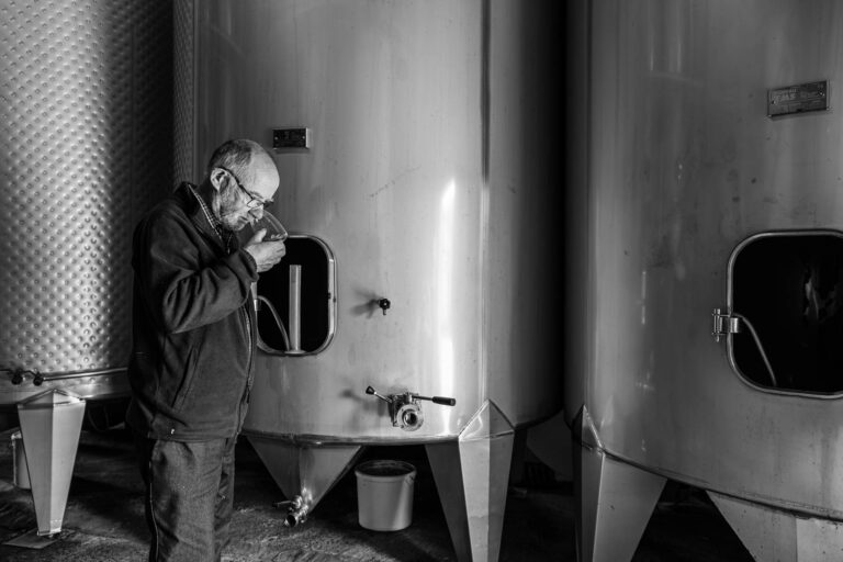 Contrôle de fermentation - Équilibre du vin - Vinification traditionnelle - Photographe reportage en immersion