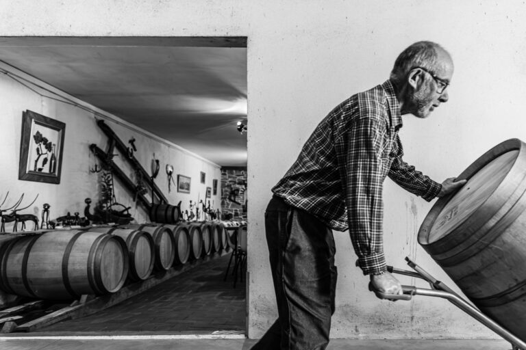 Vendanges en Muscadet - Vieillissement en fût - Équilibre du vin - Agence Brunet-Monié