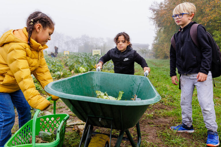 Enfants récoltant légumes en brouette - Cueillette éducative en plein champ - photographie colonie vacances - prestataire photo nantes
