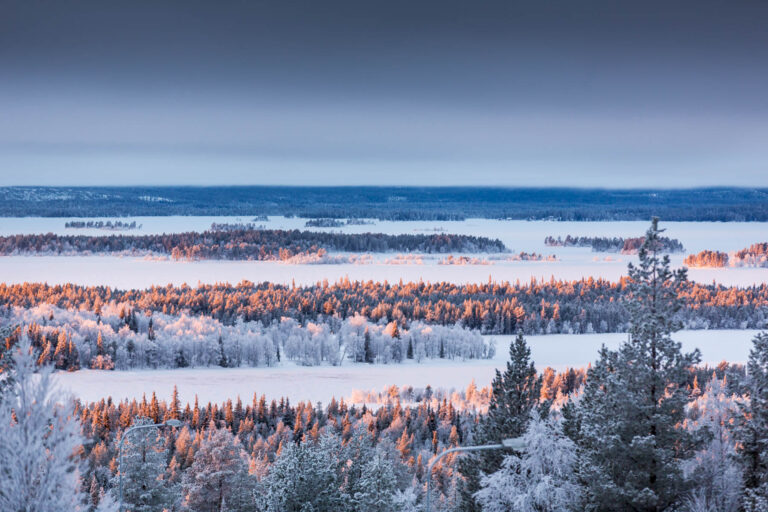 Forêt givrée Laponie - Paysage enneigé au lever du soleil - Photoreportage nordique - Brunet-Monié