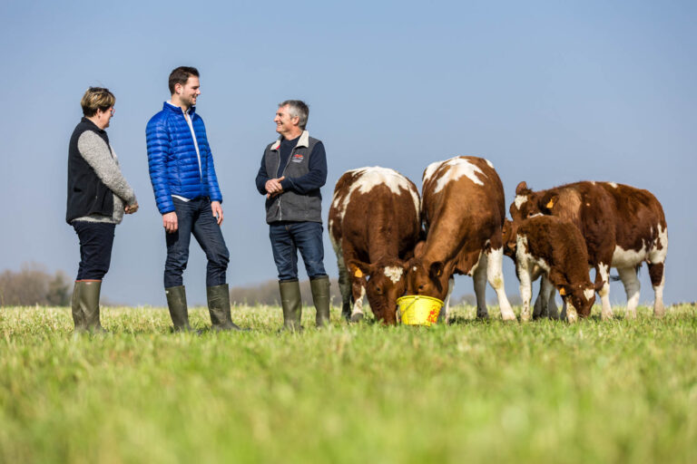 Producteurs en plein champ - Éleveurs avec troupeau de vaches - Reportage terroir Pays de la Loire - studio photo loire-atlantique
