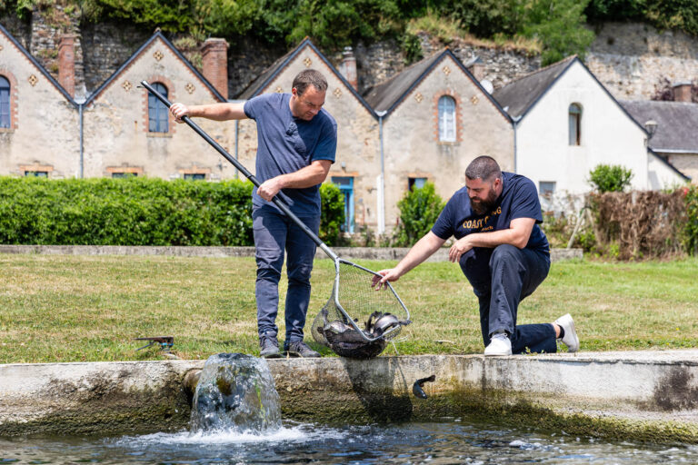 Chef avec pisciculteur - Récolte de truites en bassin - Reportage terroir gastronomique - studio photo loire-atlantique