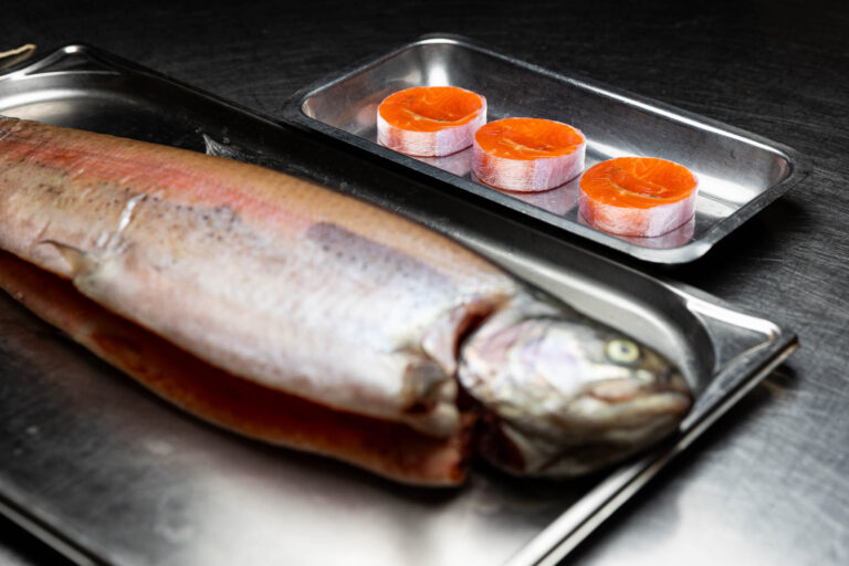 Truite fraîche sur plateau - Préparation de poisson cru - Reportage culinaire produits locaux - prestataire photo nantes