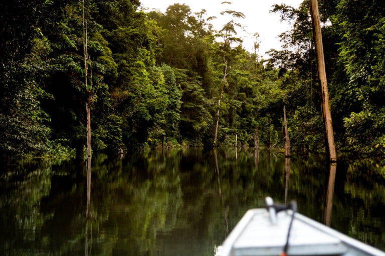 Forêt tropicale guyanaise - Navigation sur fleuve amazonien - Documentaire en immersion - Agence Brunet-Monié