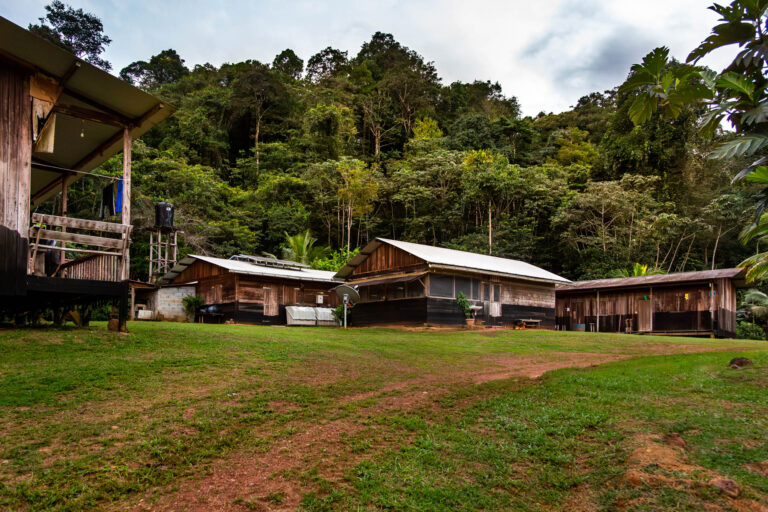 Maisons en bois camp minier - Habitat isolé forêt amazonienne - Mines légales en Guyane - studio photo loire-atlantique