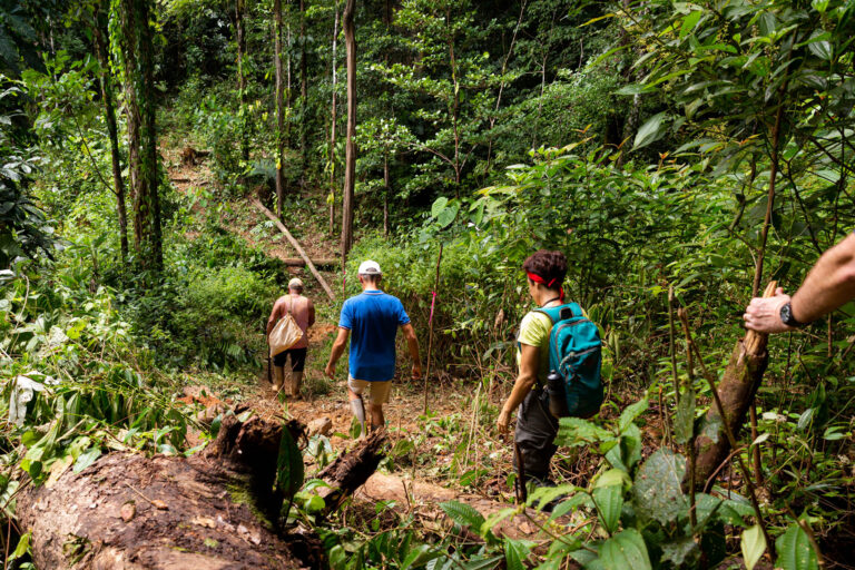 Marcheurs en exploration forestière - Sentier en pleine jungle - Mines légales en Guyane - créateur de contenu nantes